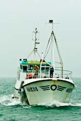 Crabber Intuition